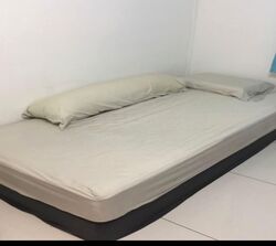 Blk 159 Toa Payoh Green (Toa Payoh), HDB 4 Rooms #558995381